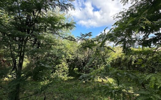 Terrain de 906 m² à vendre à Valbonne